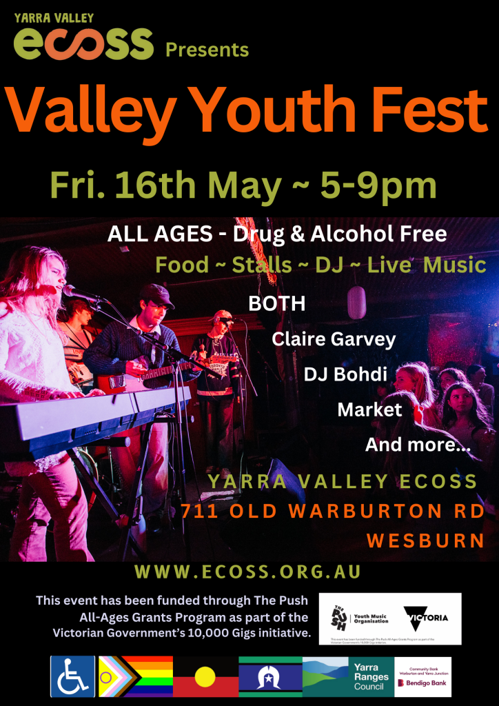 Valley Youth Fest