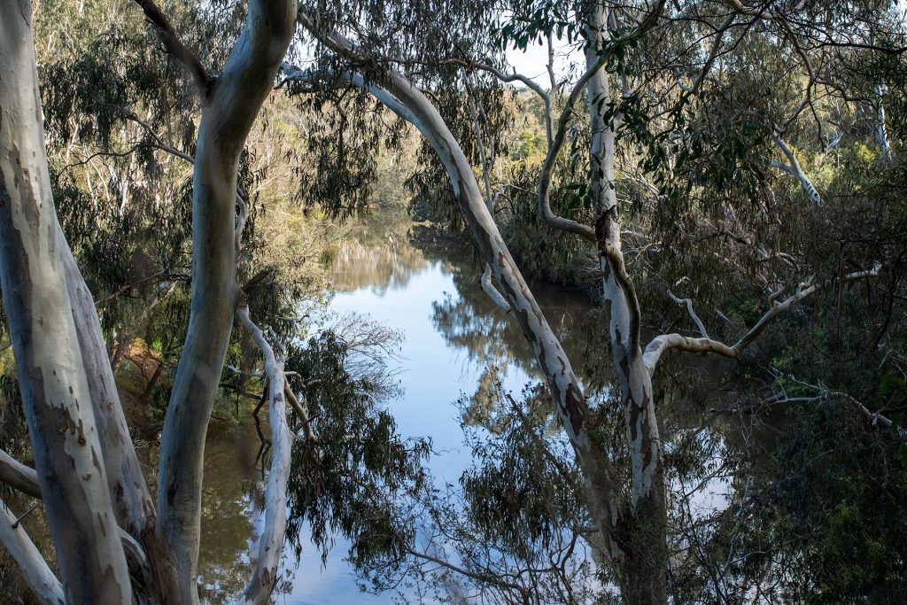 Birrarung Riverfest